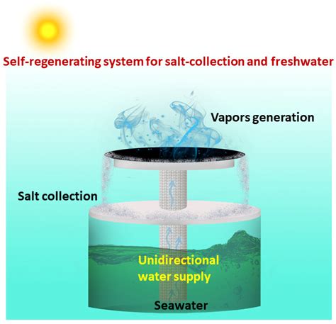 Salt-forming regions of seawater type solution in the evaporation and ... - wintechmobiles.com