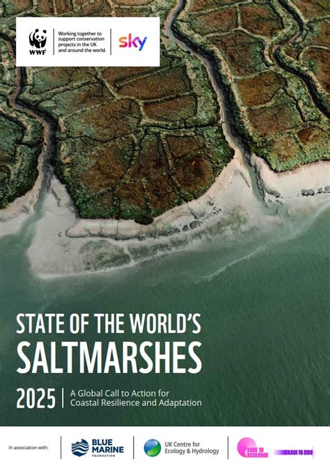 Saltmarshes | WWT - muktibox.com