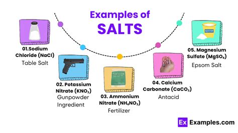 Salts - Sympatec - wintechmobiles.com