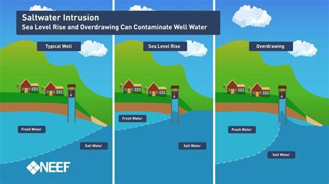 Saltwater intrusion and sea level rise threatens U.S. rural coastal ... - wintechmobiles.com