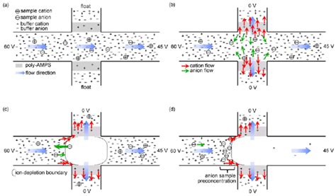 Sample Preconcentration Using Ion-Exchange Polymer Film for Laser ... - wintechmobiles.com