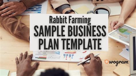 Sample Rabbit Farming Business Plan Template by Owogram.com Business plan - raincitystudios.com