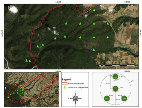 Sampling in Forest Inventories - Springer - raincitystudios.com