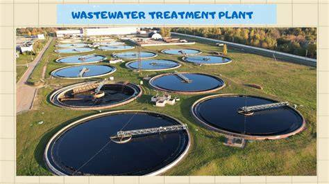 Sampling of water in wastewater treatment plant (WWTP) - raincitystudios.com
