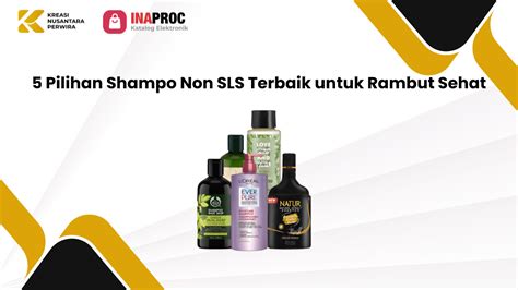 Sampo Apa Yang Non Sls - raincitystudios.com