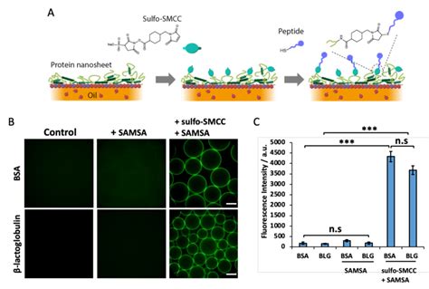 SAMSA - - balustradellc