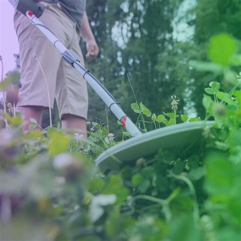 veodersti.rgarabwor.edu.pl. 