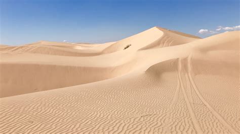 Sand dune | Definition, Formation, & Facts | Britannica - wintechmobiles.com