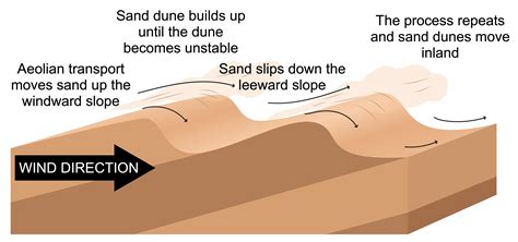Sand Dune Formation | HowStuffWorks - wintechmobiles.com