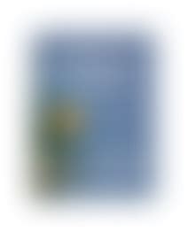 Sanskrit Mantra in Meditation: Unveiling Spiritual Connections - Aura - balustradellc