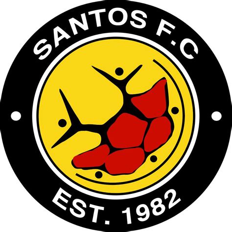 Santos FC Cape Town - Record goal scorers | Transfermarkt - balustradellc