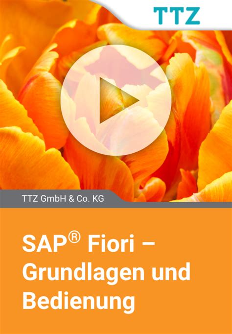 SAP Fiori – Grundlagen