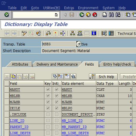 SAP L_SER_SCAN_SN_FOR_DELIVERY Function Module for RF …