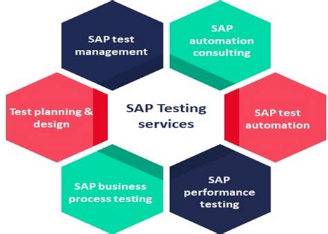 SAP Testing Service Market Growth Strategies 2029