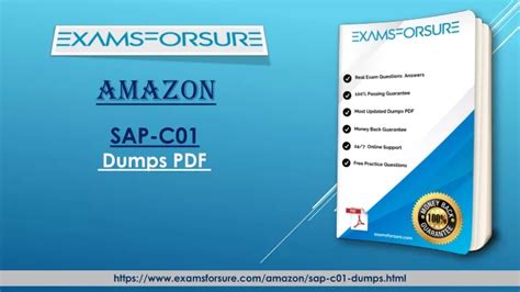 SAP-C01 PDF Demo
