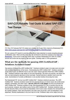 SAP-C01 Testing Engine