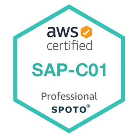 SAP-C01 Zertifikatsdemo