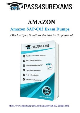 SAP-C02 Lernhilfe