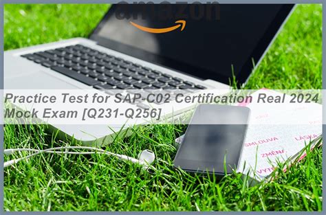 SAP-C02 Online Test