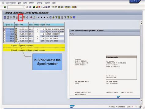 SAP-C02 PDF Testsoftware