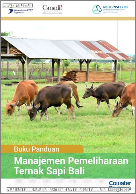 Sapi perah - Wikipedia bahasa Indonesia, ensiklopedia … - balustradellc