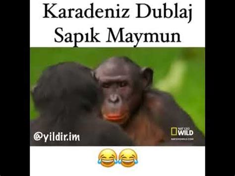 codini.rgarabwor.edu.pl. 