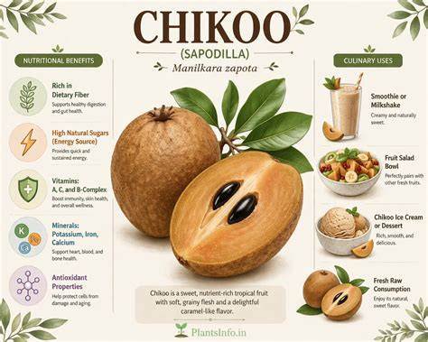 Sapodilla: History, Cultivation, Nutritional Benefits, and Culinary ... - raincitystudios.com