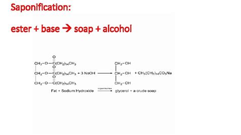 Saponification And Esterification - wintechmobiles.com