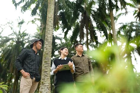 Sarjana Kehutanan - balustradellc