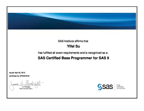 SAS Global Certification - coolestguyplanet.net