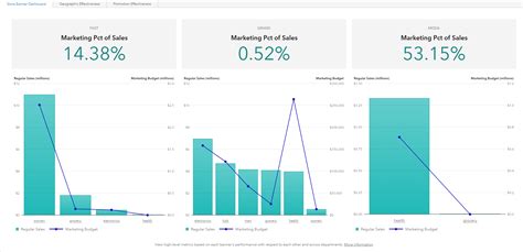 SAS Visual Analytics | SAS - coolestguyplanet.net