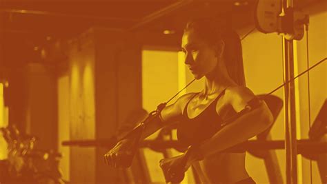 SatisFIT: Workout & Fitness - Free APK Download for Android - coolestguyplanet.net