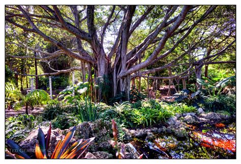 Saturday Stroll at the Deerfield Beach Arboretum ... - balustradellc