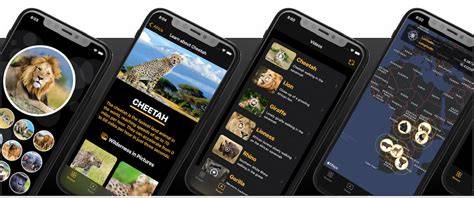 Savanna Explorer - Regions Factsheet - raincitystudios.com
