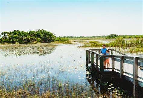 Savannas Preserve State Park - Florida Vacations, … - raincitystudios.com