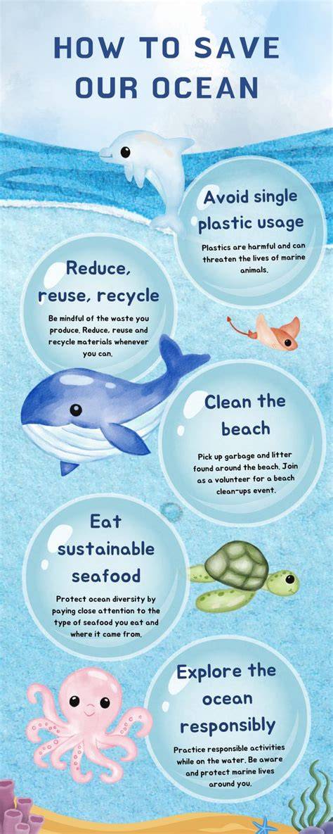Save Our Ocean | Ocean Conservation Strategies - raincitystudios.com