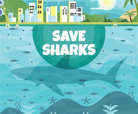 Save Our Sharks - Australian Marine Conservation … - raincitystudios.com