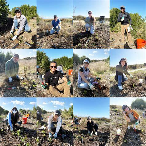 Save The Bay: Protecting and Restoring San Francisco Bay - raincitystudios.com