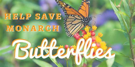 Save the monarch - U.S. Fish & Wildlife Service - raincitystudios.com