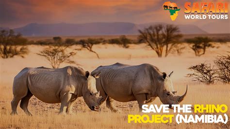 Save the Rhinos - African Parks - muktibox.com