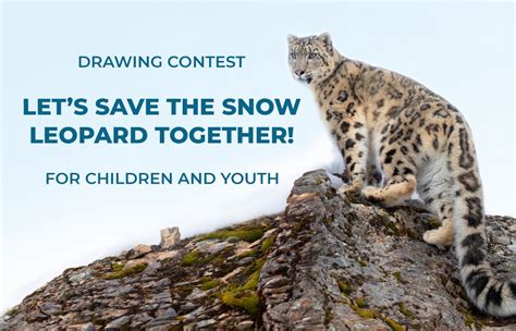 SAVE THE SNOW LEOPARD - PROTECT OUR … - muktibox.com