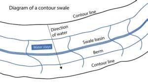 Saving Every Drop: How Swales and Contours Boost Farm Water - raincitystudios.com