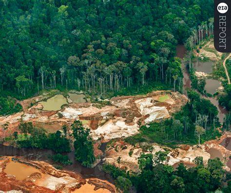 Saving Indonesia’s forests | UNEP - raincitystudios.com