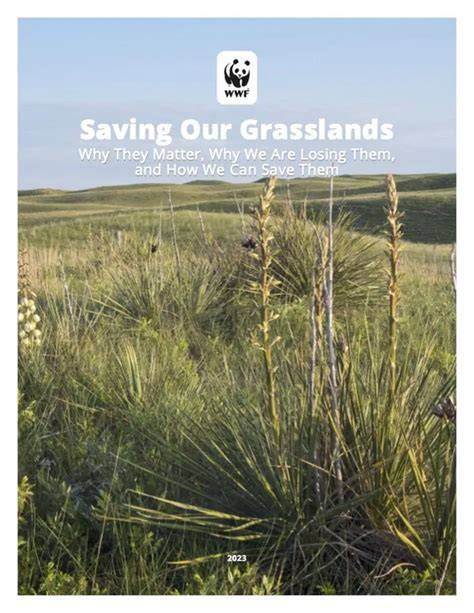 Saving Our Grasslands - World Wildlife Fund - raincitystudios.com