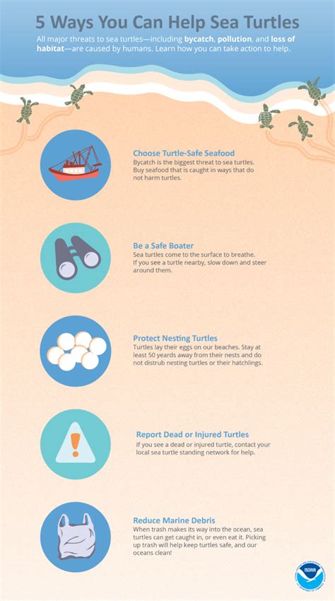 Saving Sea Turtles - NOAA Fisheries - muktibox.com