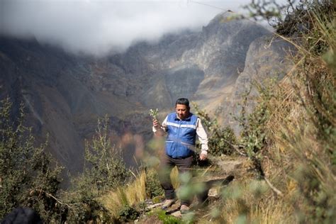 Saving South America’s Forests - Wilson Center - raincitystudios.com