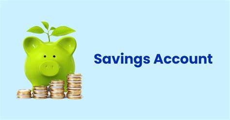 Savings Account - Open Bank Account Online Instantly | IDFC FIRST Bank - raincitystudios.com