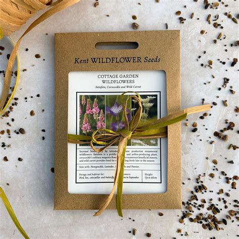 Savvy Wildflower Seed Collection - raincitystudios.com