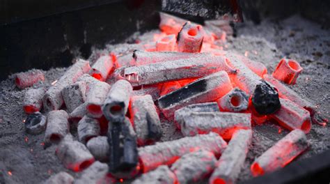 Sawdust Charcoal Briquettes: #1 Save Costs, Reduce … - raincitystudios.com