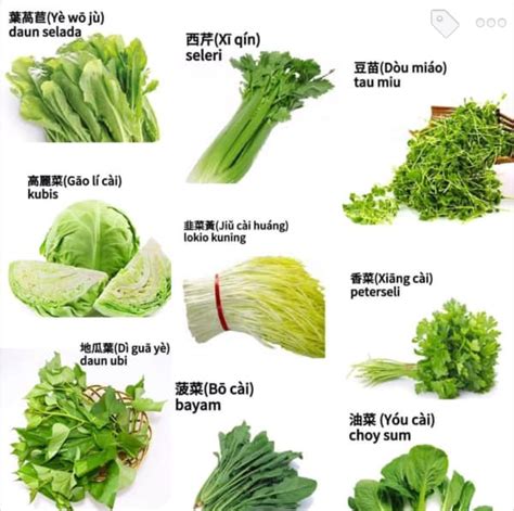 Sawi Bahasa Mandarin - balustradellc